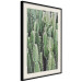 Wall Poster Cactus Garden - composition with prickly plants in green colors 117116 additionalThumb 3