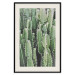 Wall Poster Cactus Garden - composition with prickly plants in green colors 117116 additionalThumb 18