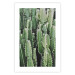 Wall Poster Cactus Garden - composition with prickly plants in green colors 117116 additionalThumb 19