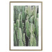 Wall Poster Cactus Garden - composition with prickly plants in green colors 117116 additionalThumb 14
