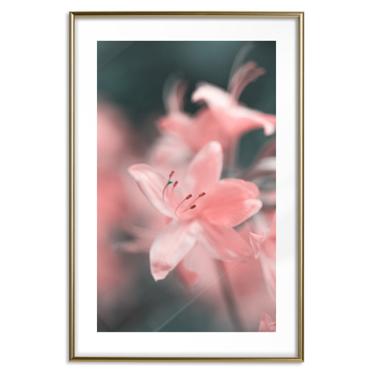 Wall Poster Pastel Flowers - botanical composition with pink floral petals 121616 additionalImage 27