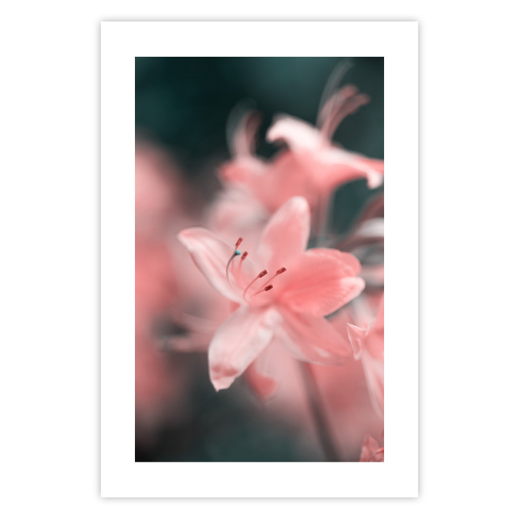 Wall Poster Pastel Flowers - botanical composition with pink floral petals 121616 additionalImage 18