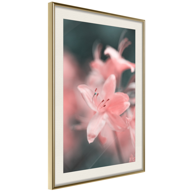Wall Poster Pastel Flowers - botanical composition with pink floral petals 121616 additionalImage 2