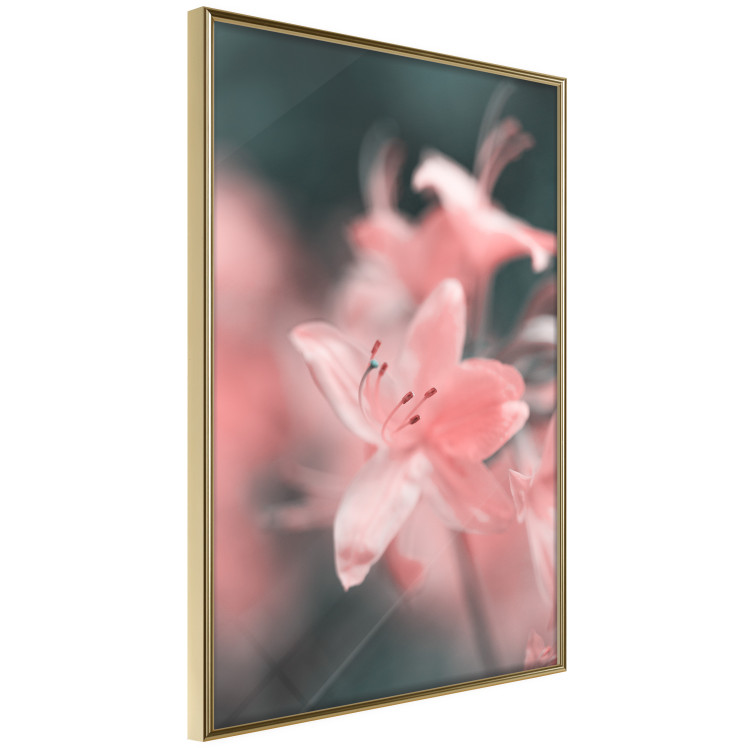 Wall Poster Pastel Flowers - botanical composition with pink floral petals 121616 additionalImage 12