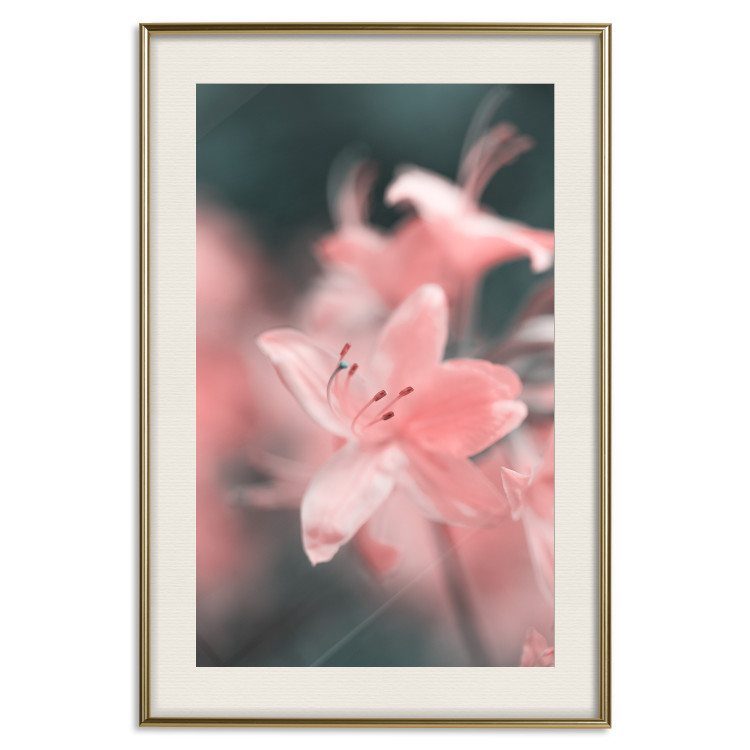 Wall Poster Pastel Flowers - botanical composition with pink floral petals 121616 additionalImage 24