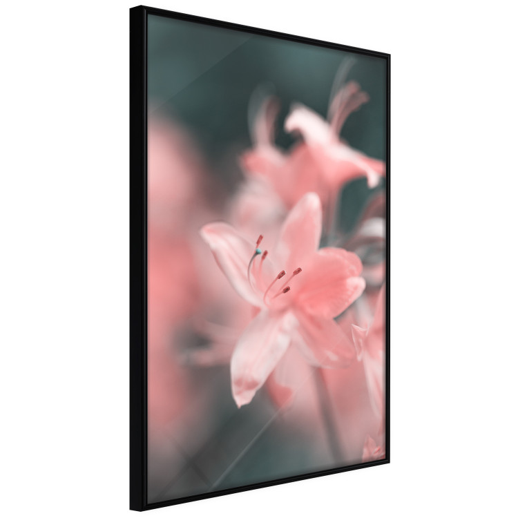 Wall Poster Pastel Flowers - botanical composition with pink floral petals 121616 additionalImage 10