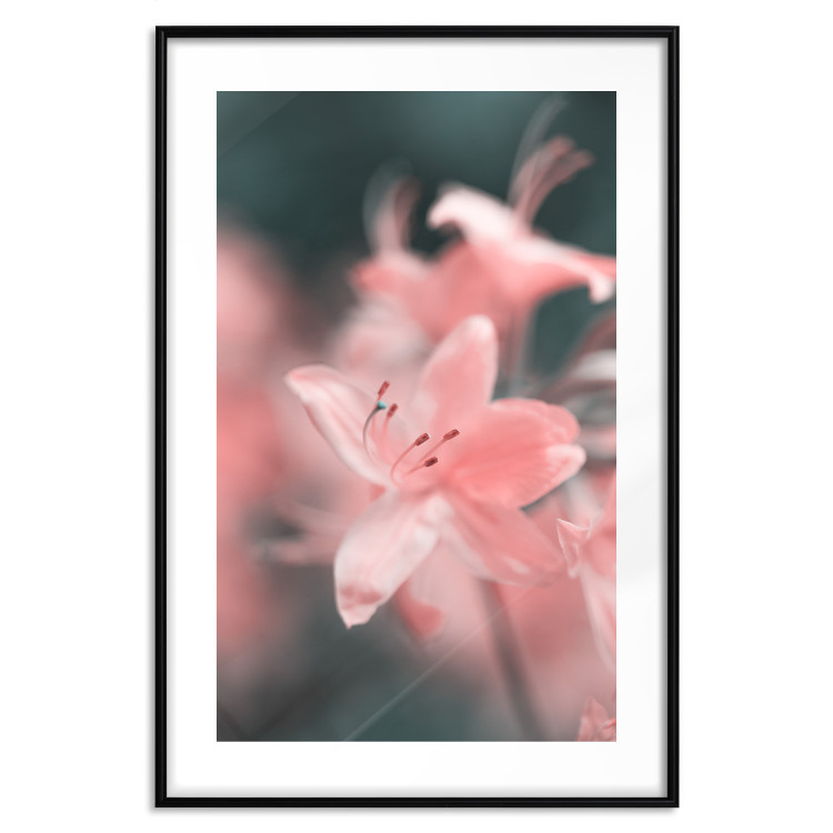 Wall Poster Pastel Flowers - botanical composition with pink floral petals 121616 additionalImage 26
