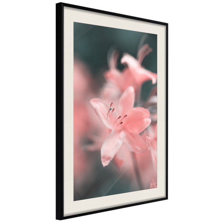 Wall Poster Pastel Flowers - botanical composition with pink floral petals 121616 additionalImage 3