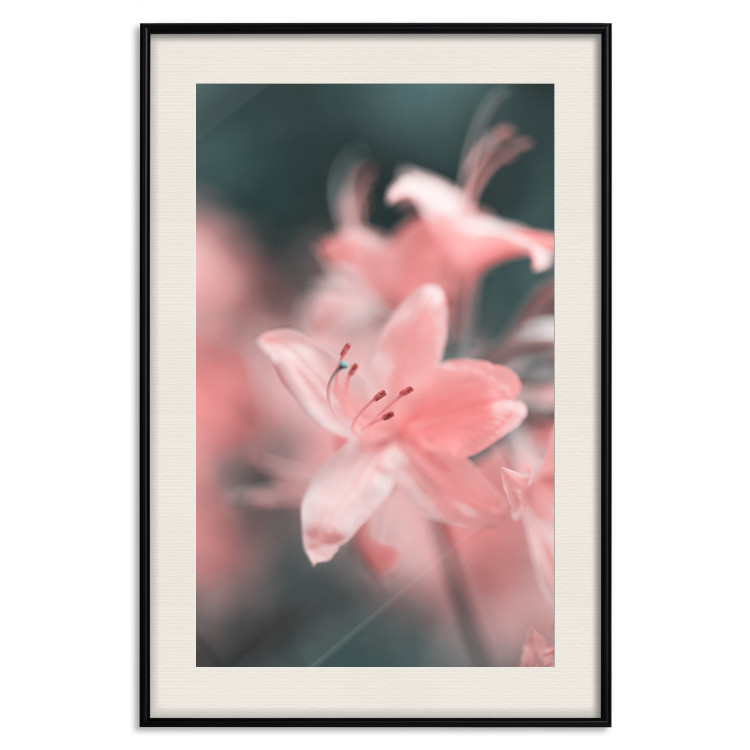 Wall Poster Pastel Flowers - botanical composition with pink floral petals 121616 additionalImage 23