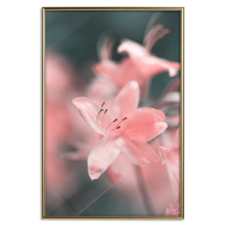 Wall Poster Pastel Flowers - botanical composition with pink floral petals 121616 additionalImage 18