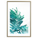 Wall Poster Emerald Palm - green palm tree leaves on a white background 122316 additionalThumb 27