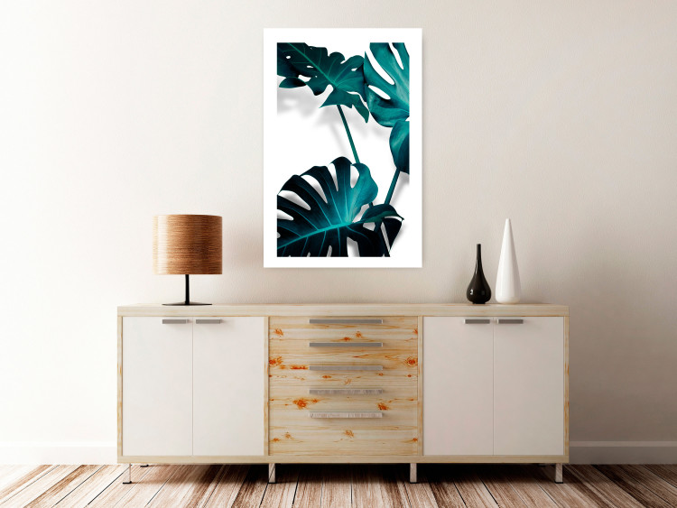 Poster Emerald Nature - tropical green monstera leaves on a white background 123416 additionalImage 2
