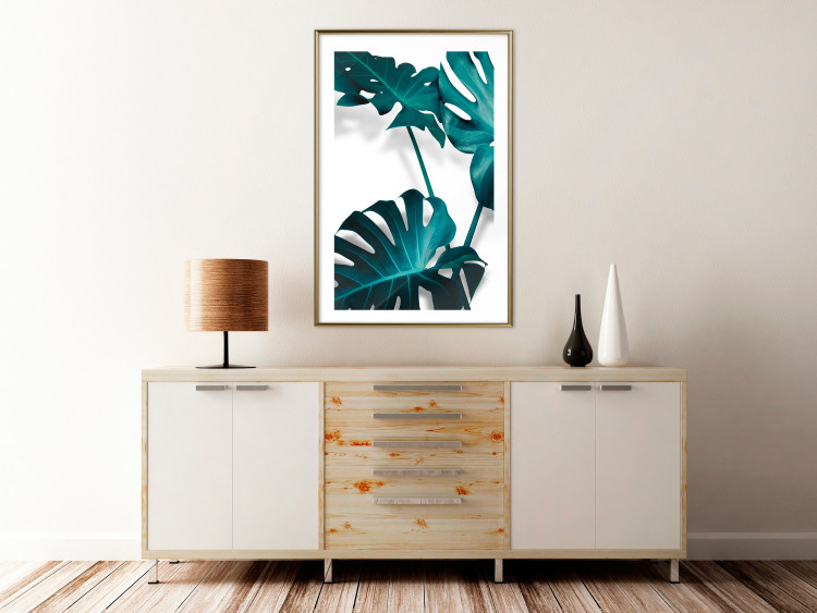 Poster Emerald Nature - tropical green monstera leaves on a white background 123416 additionalImage 13