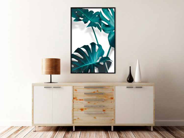 Poster Emerald Nature - tropical green monstera leaves on a white background 123416 additionalImage 3