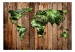 Photo Wallpaper Jungle of the World 125116 additionalThumb 1
