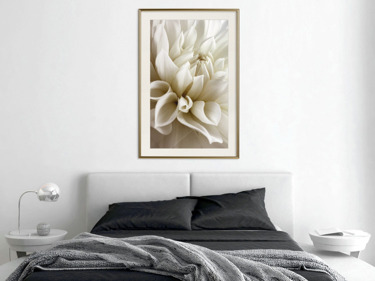 Wall Poster Beautiful Dahlia - velvety white flowers with delicately beige petals 125716 additionalImage 21