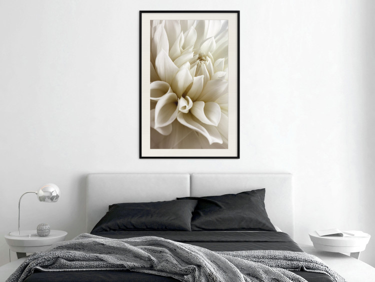Wall Poster Beautiful Dahlia - velvety white flowers with delicately beige petals 125716 additionalImage 22