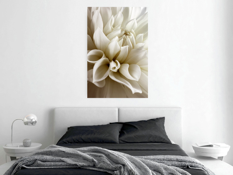 Wall Poster Beautiful Dahlia - velvety white flowers with delicately beige petals 125716 additionalImage 23