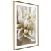 Wall Poster Beautiful Dahlia - velvety white flowers with delicately beige petals 125716 additionalThumb 6