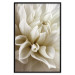 Wall Poster Beautiful Dahlia - velvety white flowers with delicately beige petals 125716 additionalThumb 18