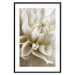 Wall Poster Beautiful Dahlia - velvety white flowers with delicately beige petals 125716 additionalThumb 15