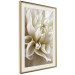 Wall Poster Beautiful Dahlia - velvety white flowers with delicately beige petals 125716 additionalThumb 2