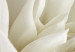 Wall Poster Beautiful Dahlia - velvety white flowers with delicately beige petals 125716 additionalThumb 9