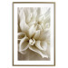 Wall Poster Beautiful Dahlia - velvety white flowers with delicately beige petals 125716 additionalThumb 16