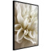 Wall Poster Beautiful Dahlia - velvety white flowers with delicately beige petals 125716 additionalThumb 10