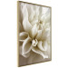 Wall Poster Beautiful Dahlia - velvety white flowers with delicately beige petals 125716 additionalThumb 12