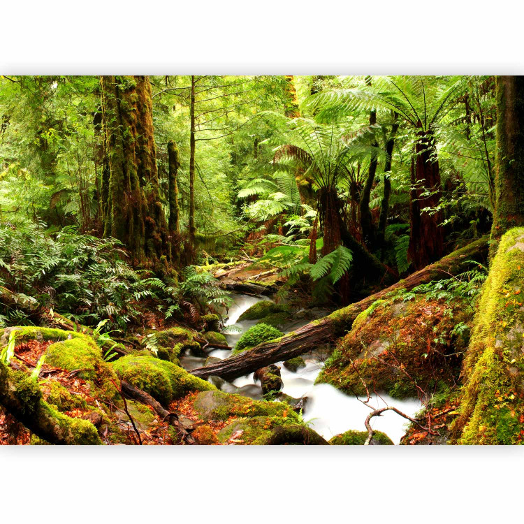Photo Wallpaper Forest Brook 126916 additionalImage 5