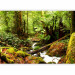 Photo Wallpaper Forest Brook 126916 additionalThumb 5