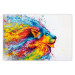 Poster Lion in Colors - abstract colorful animal in artistic motif 127816