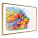 Poster Lion in Colors - abstract colorful animal in artistic motif 127816 additionalThumb 9