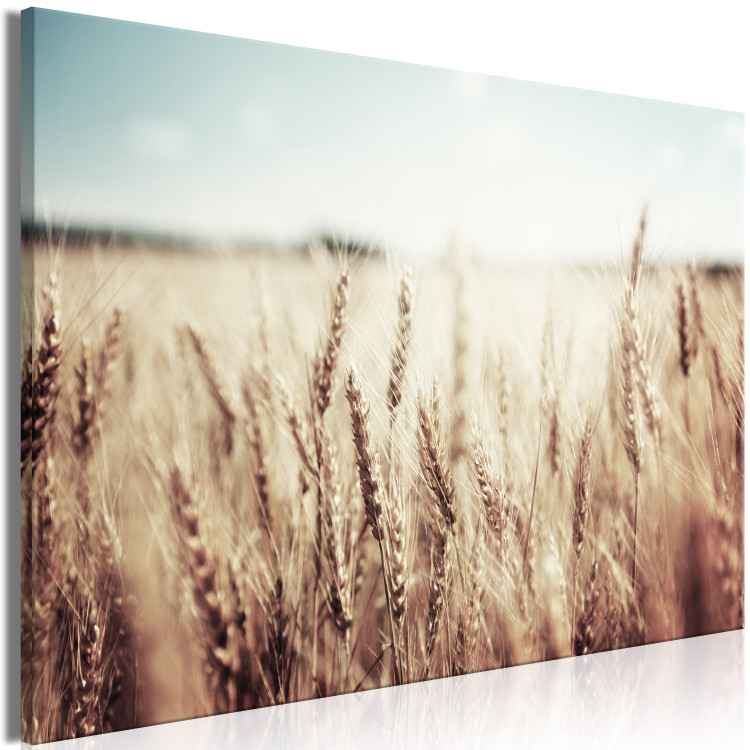 Canvas Golden Field (1 Part) Wide 129816 additionalImage 2