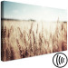 Canvas Golden Field (1 Part) Wide 129816 additionalThumb 6