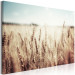 Canvas Golden Field (1 Part) Wide 129816 additionalThumb 2