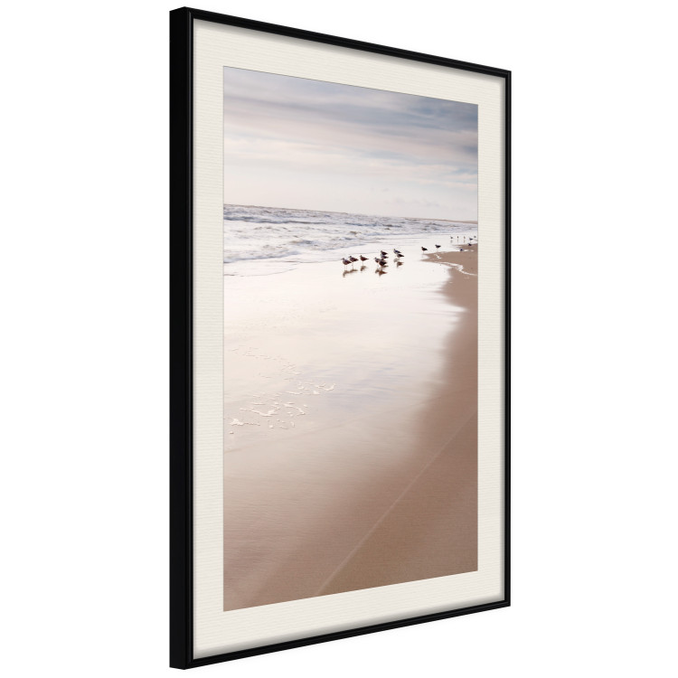 Poster Autumn Beach - seascape of a beach and ducks against a bright sky 137916 additionalImage 8