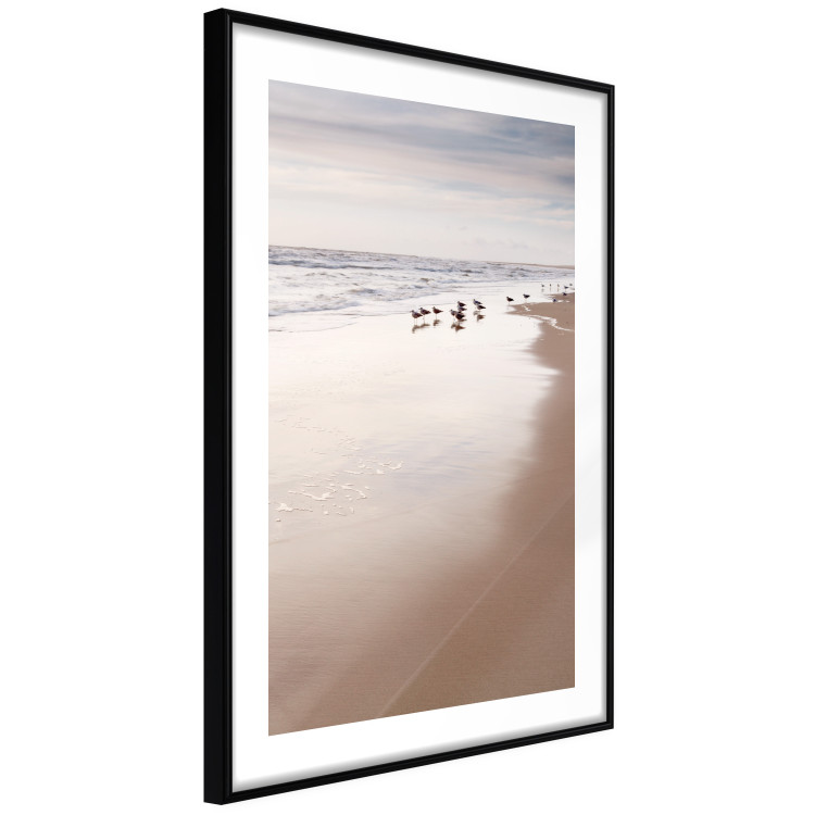 Poster Autumn Beach - seascape of a beach and ducks against a bright sky 137916 additionalImage 4