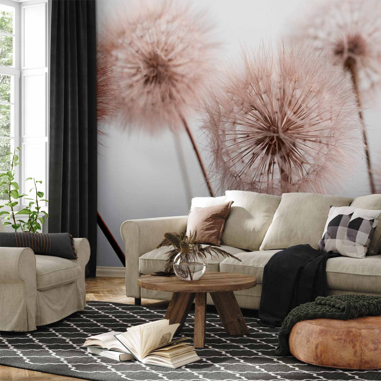 Wall Mural Summer nature close-up - delicate dandelions in sepia approximation 138316