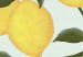 Round Canvas Lemon Sorrento - Sunny Summer Shrub With Fresh Fruit  148616 additionalThumb 4
