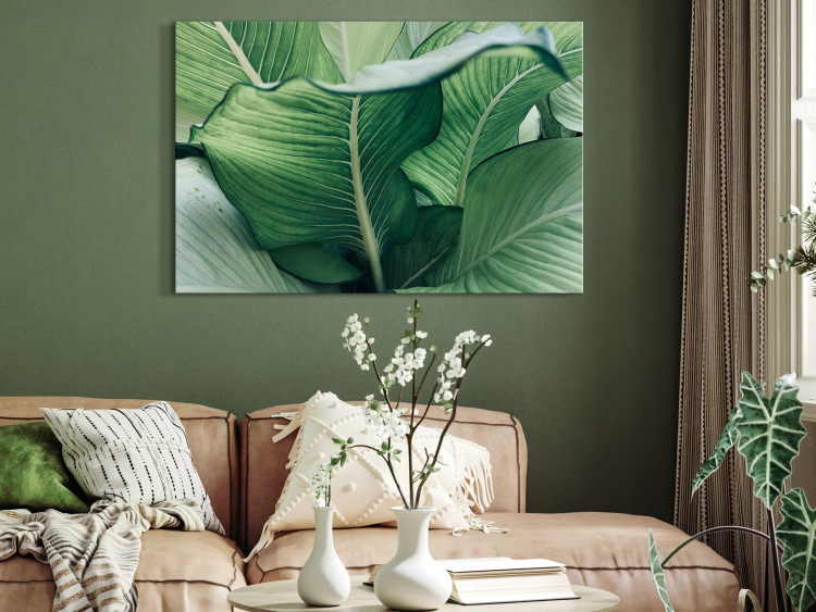 Canvas Art Print Nature Up Close (1-piece) - landscape with large exotic leaves 149716 additionalImage 3