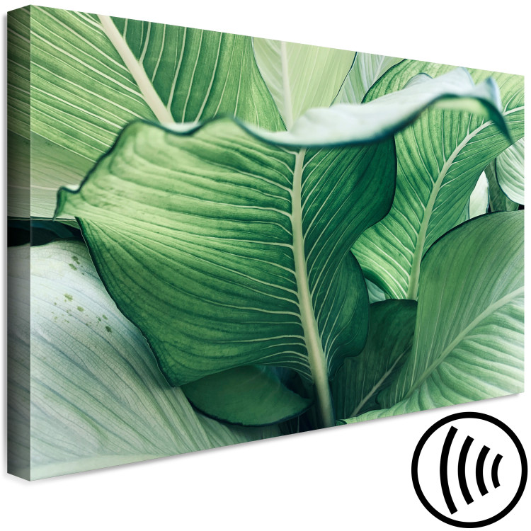 Canvas Art Print Nature Up Close (1-piece) - landscape with large exotic leaves 149716 additionalImage 6