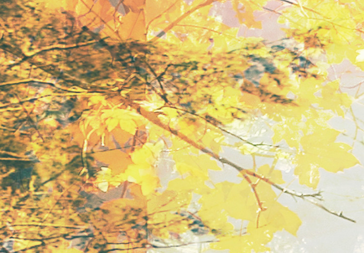 Canvas Print Beauty of autumn - triptych 50216 additionalImage 5