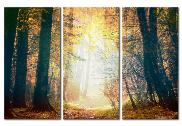 Canvas Print Beauty of autumn - triptych 50216