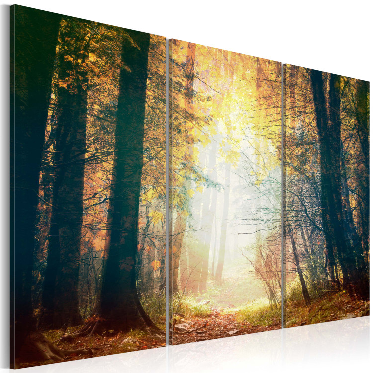 Canvas Print Beauty of autumn - triptych 50216 additionalImage 2