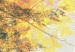 Canvas Print Beauty of autumn - triptych 50216 additionalThumb 5