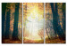 Canvas Print Beauty of autumn - triptych 50216