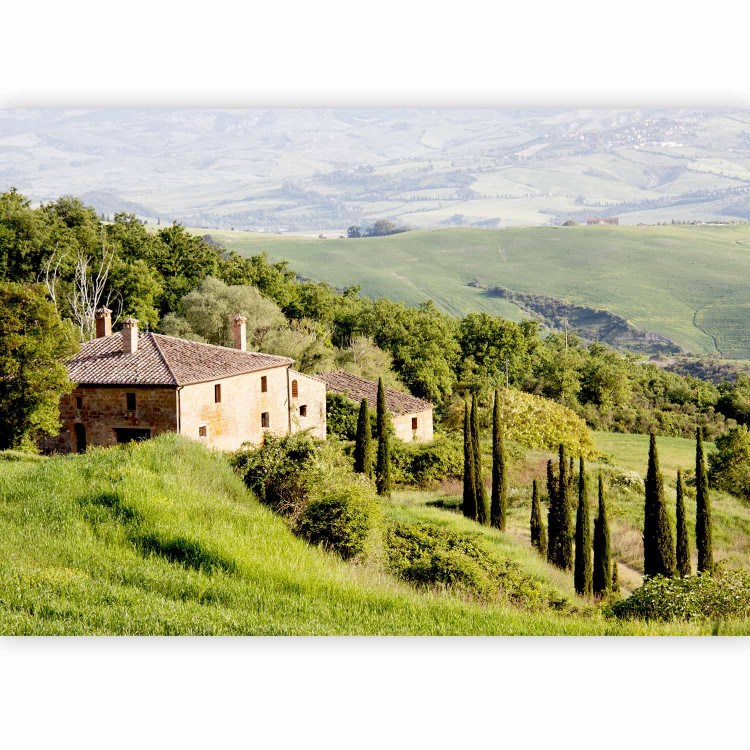 Wall Mural Under the sun of Tuscany - hillside landscape with trees in Italy with a house 97316 additionalImage 1