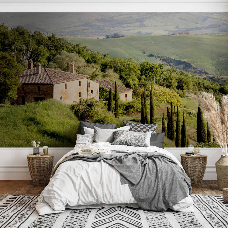 Wall Mural Under the sun of Tuscany - hillside landscape with trees in Italy with a house 97316 additionalImage 2